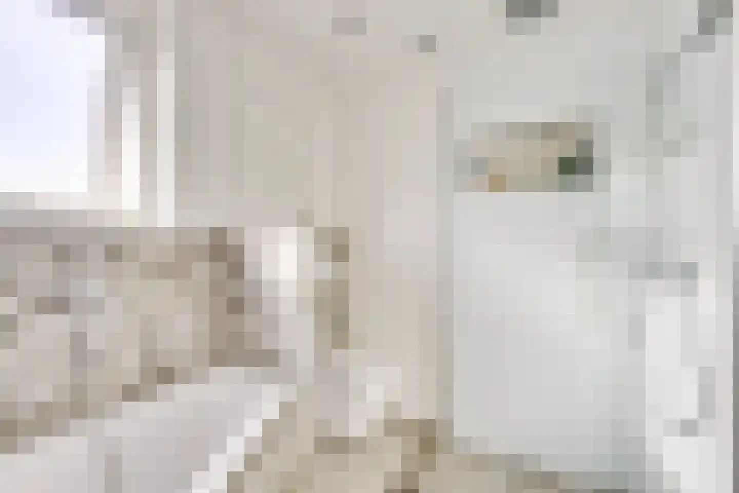 Weidedreef 1 Langbroek thumbnail 26