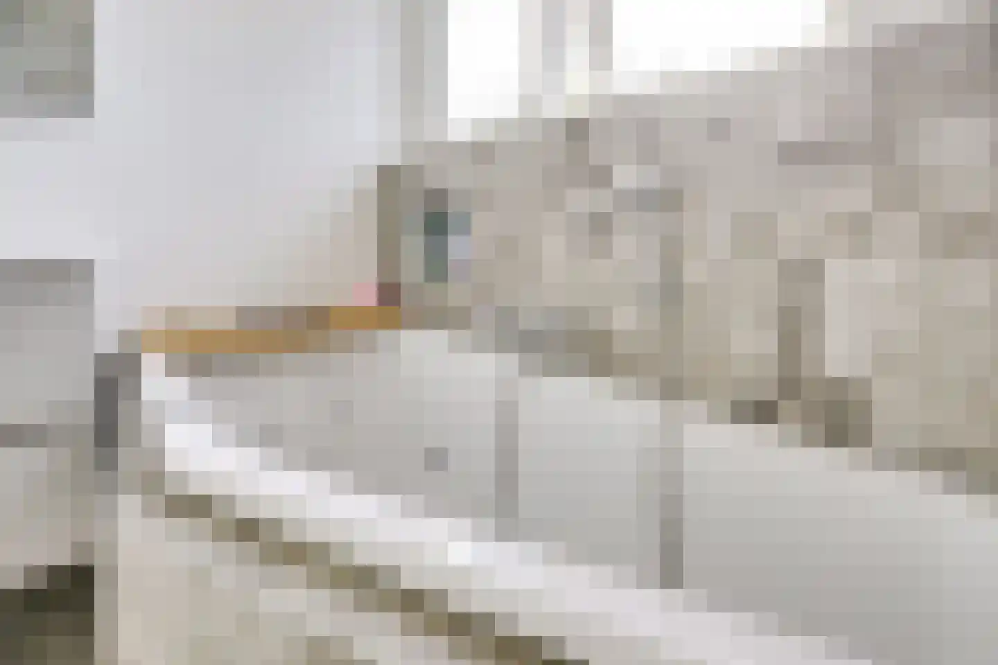 Weidedreef 1 Langbroek thumbnail 27