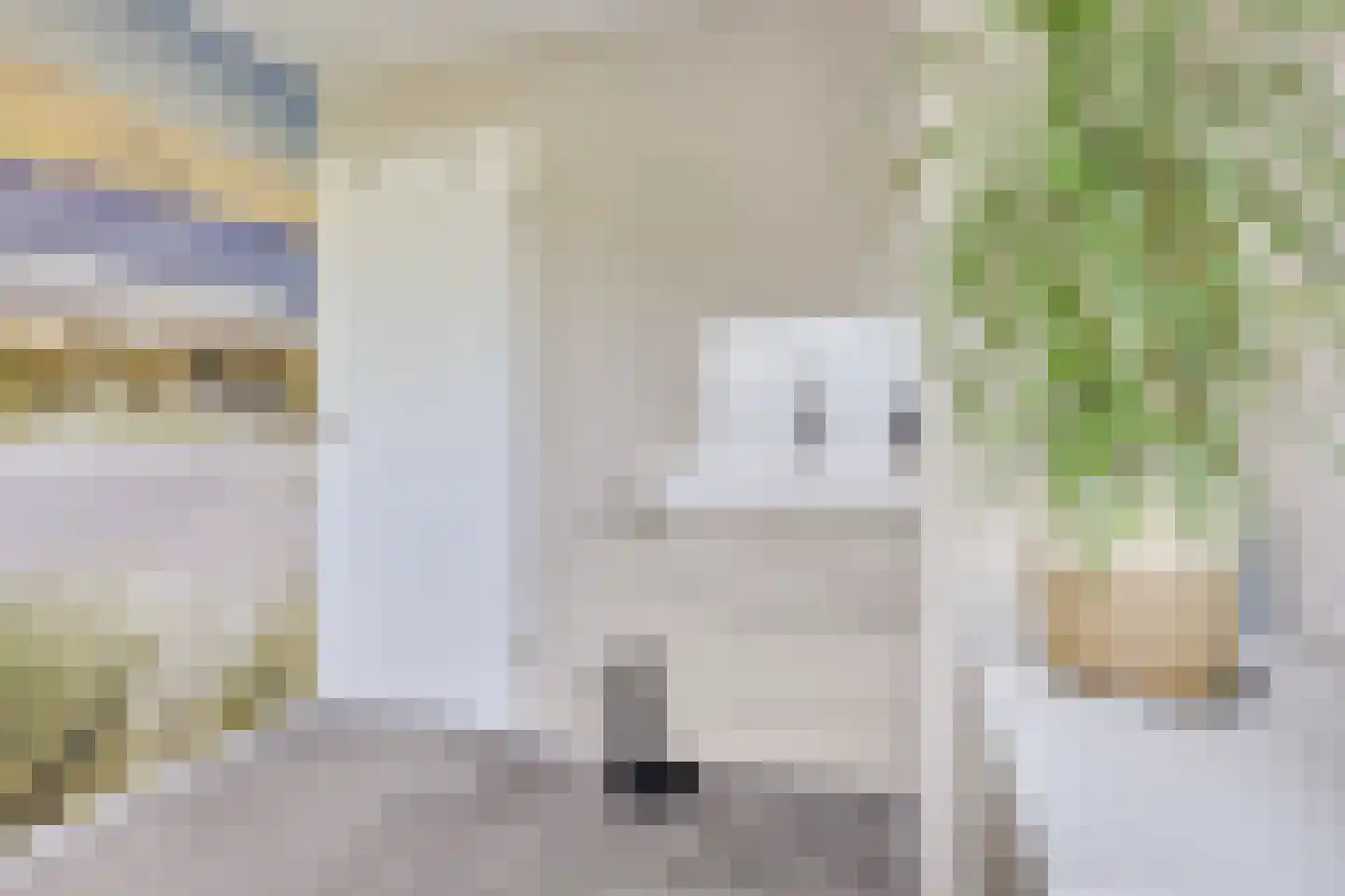 Weidedreef 1 Langbroek thumbnail 32