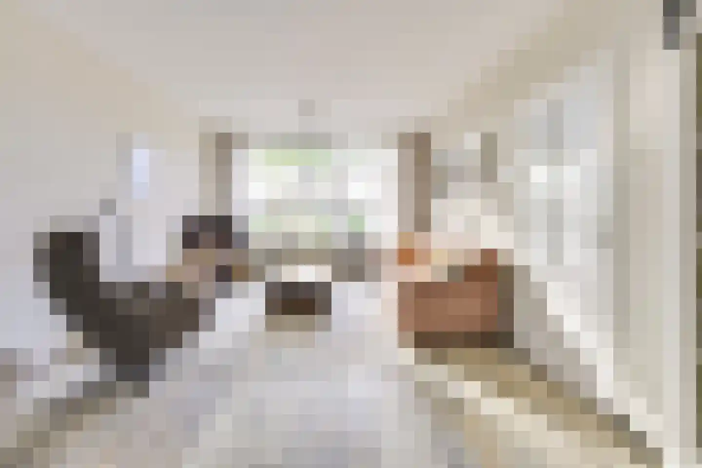 Weidedreef 1 Langbroek thumbnail 4