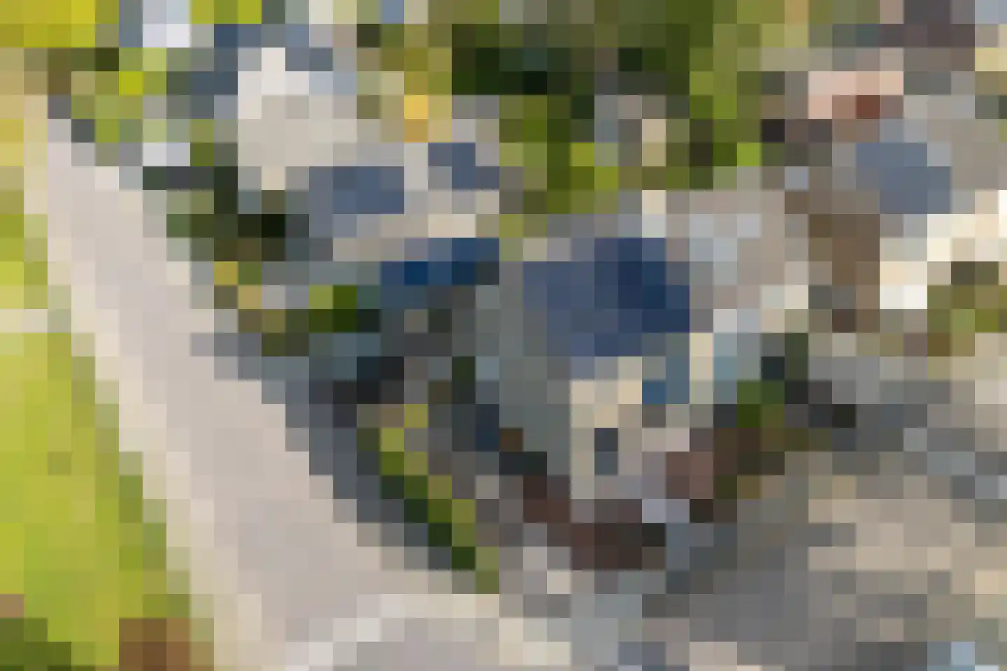 Weidedreef 1 Langbroek thumbnail 42