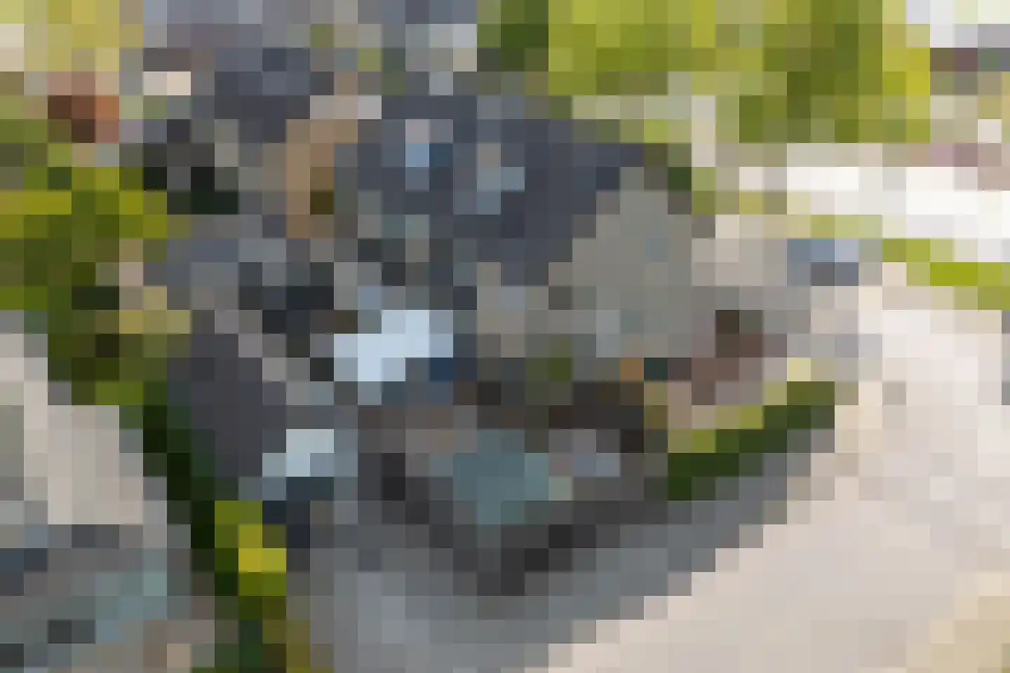 Weidedreef 1 Langbroek thumbnail 43