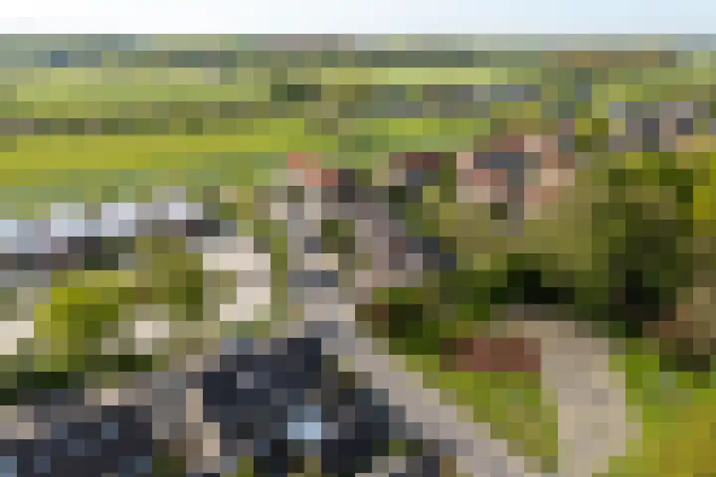Weidedreef 1 Langbroek thumbnail 45