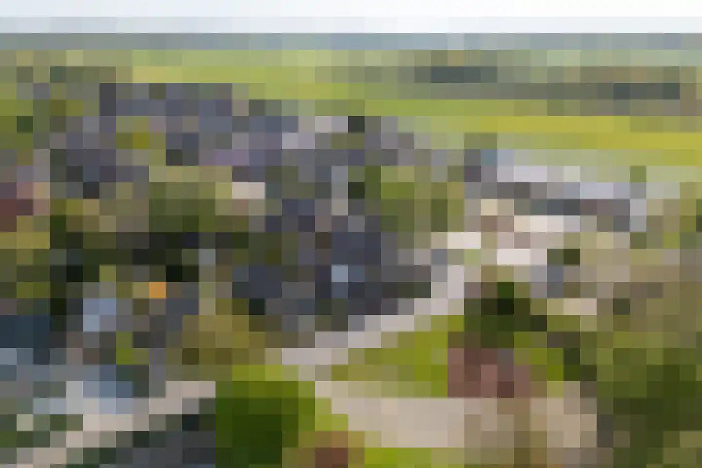 Weidedreef 1 Langbroek thumbnail 46