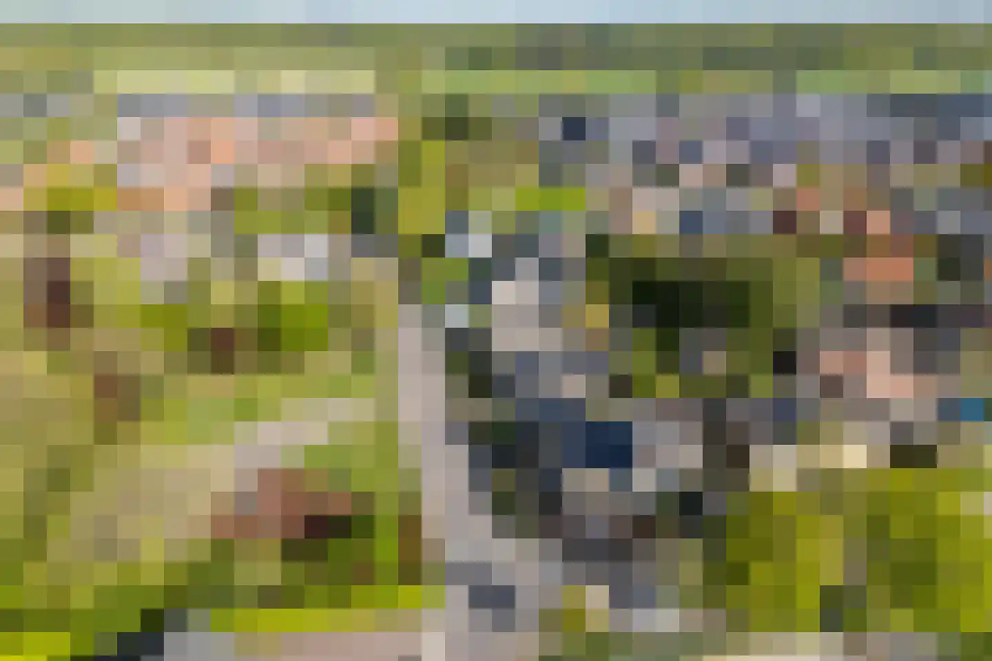 Weidedreef 1 Langbroek thumbnail 47