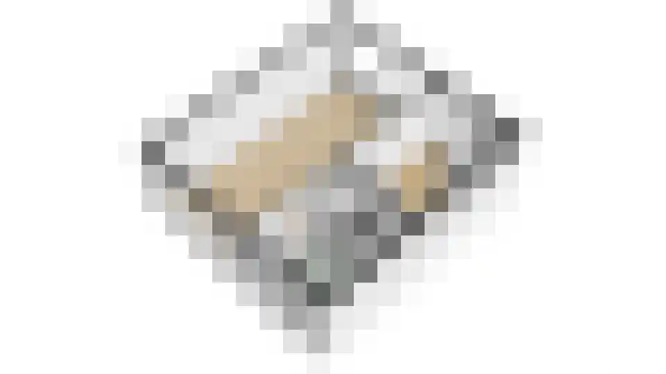 Weidedreef 1 Langbroek thumbnail 51