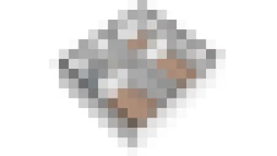 Weidedreef 1 Langbroek thumbnail 53