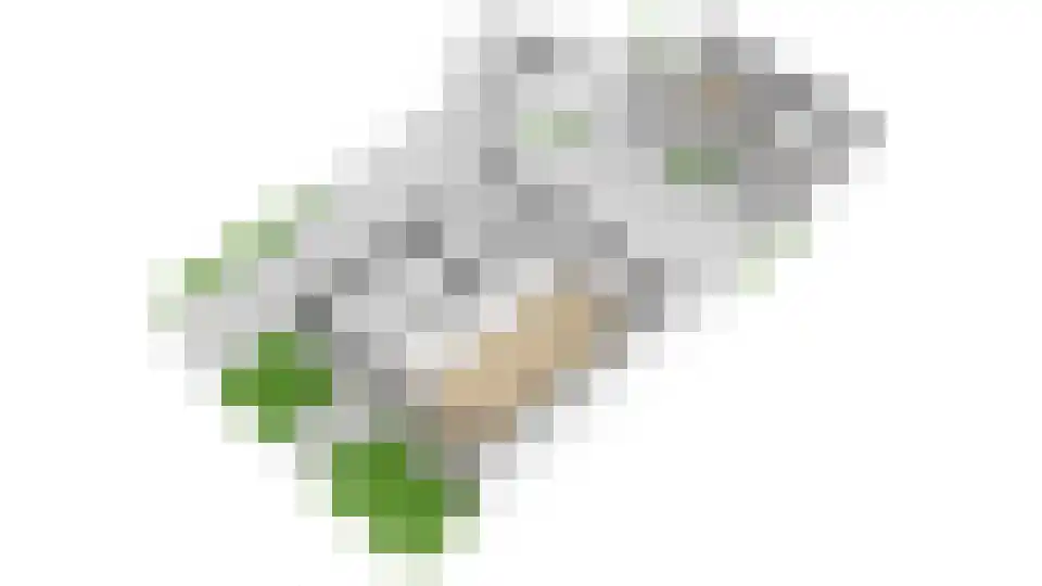 Weidedreef 1 Langbroek thumbnail 68