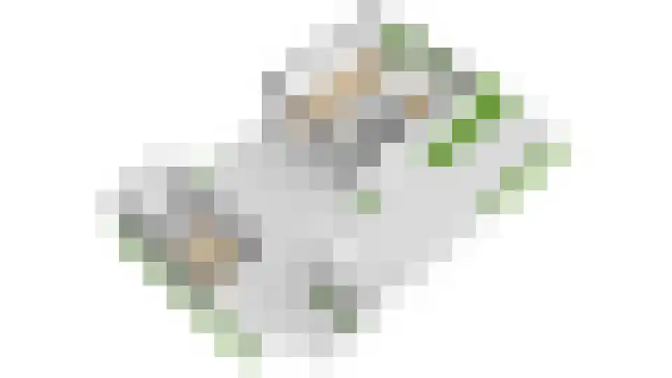 Weidedreef 1 Langbroek thumbnail 69