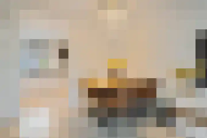 Weidedreef 134 Zoetermeer thumbnail 12