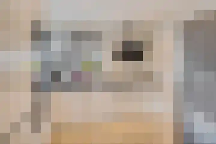 Weidedreef 134 Zoetermeer thumbnail 14