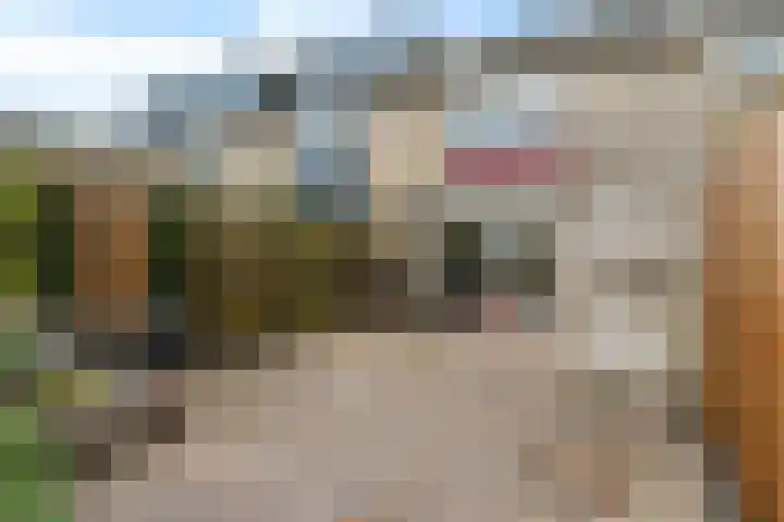 Weidedreef 134 Zoetermeer thumbnail 19