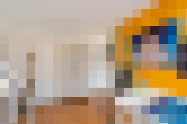 Weidedreef 134 Zoetermeer thumbnail 27
