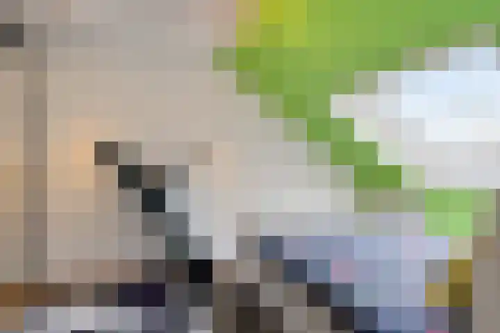 Weidedreef 134 Zoetermeer thumbnail 31