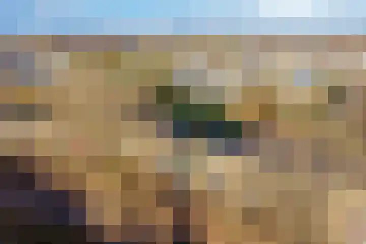 Weidedreef 134 Zoetermeer thumbnail 36