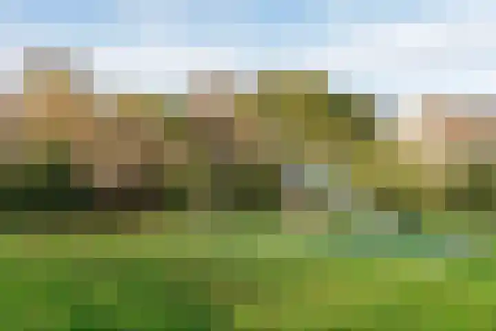 Weidedreef 134 Zoetermeer thumbnail 38