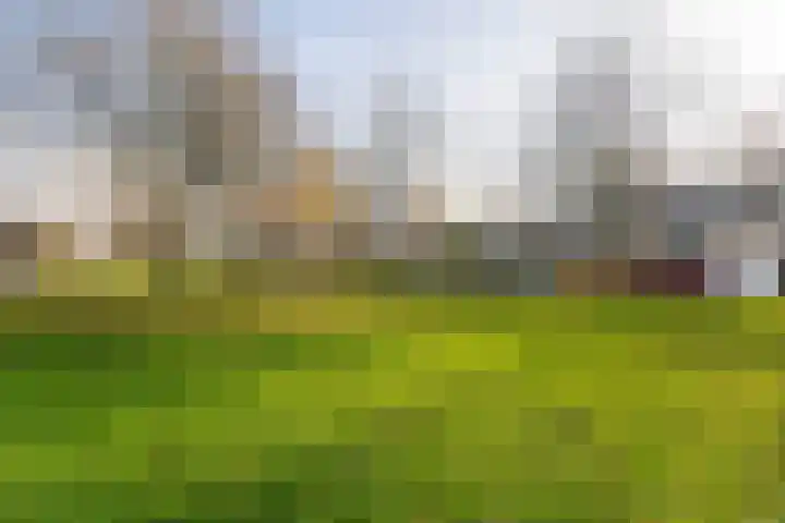 Weidedreef 134 Zoetermeer thumbnail 39