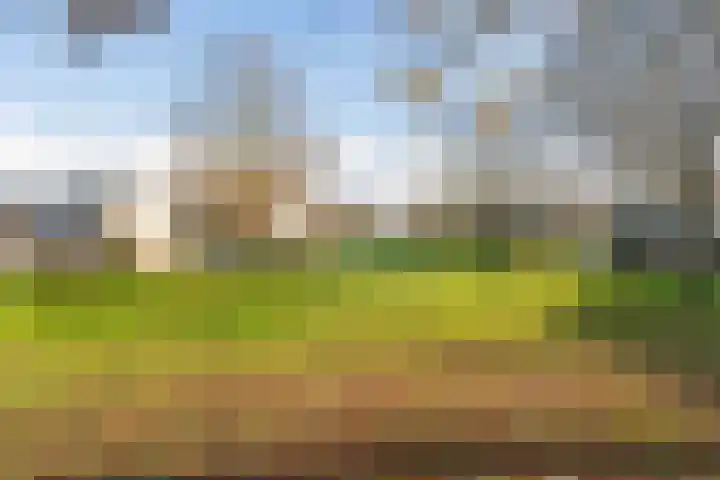 Weidedreef 134 Zoetermeer thumbnail 40