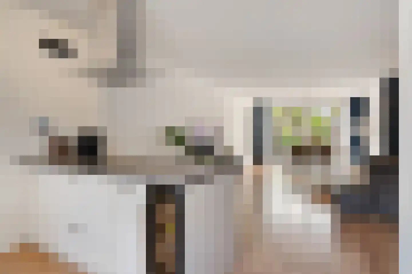 Weidedreef 139 Zoetermeer thumbnail 19