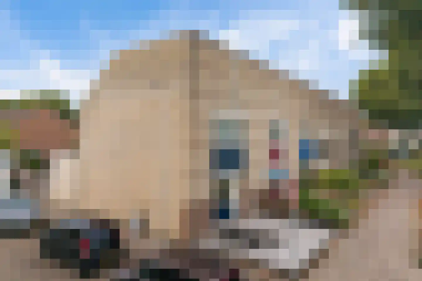Weidedreef 139 Zoetermeer thumbnail 7