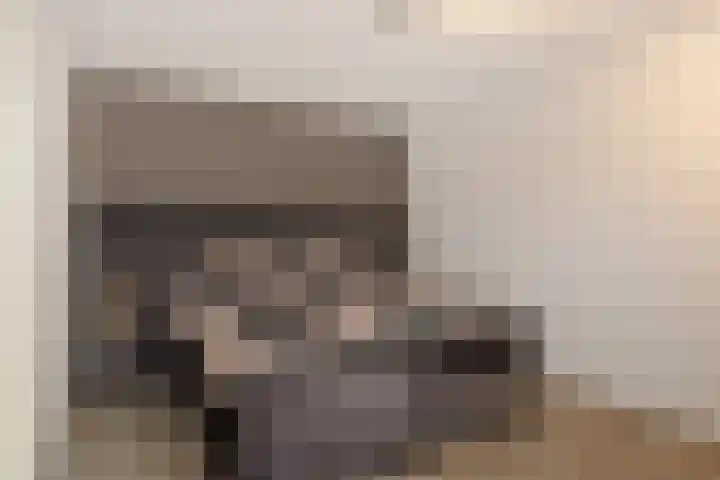 Weidedreef 178 Zoetermeer thumbnail 29