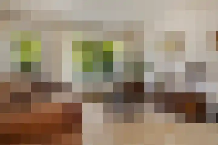 Weidedreef 29 Langbroek thumbnail 13