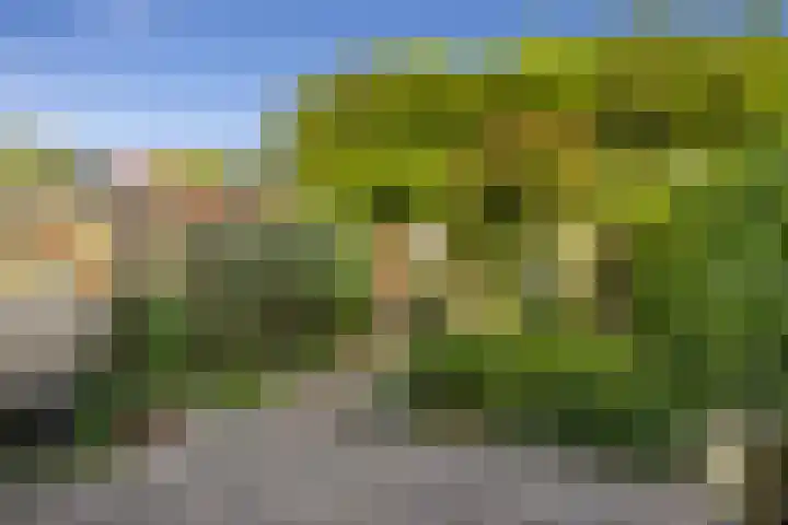 Weidedreef 29 Langbroek thumbnail 22