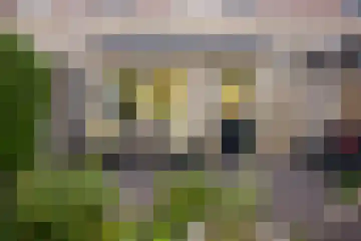 Weidedreef 29 Langbroek thumbnail 24