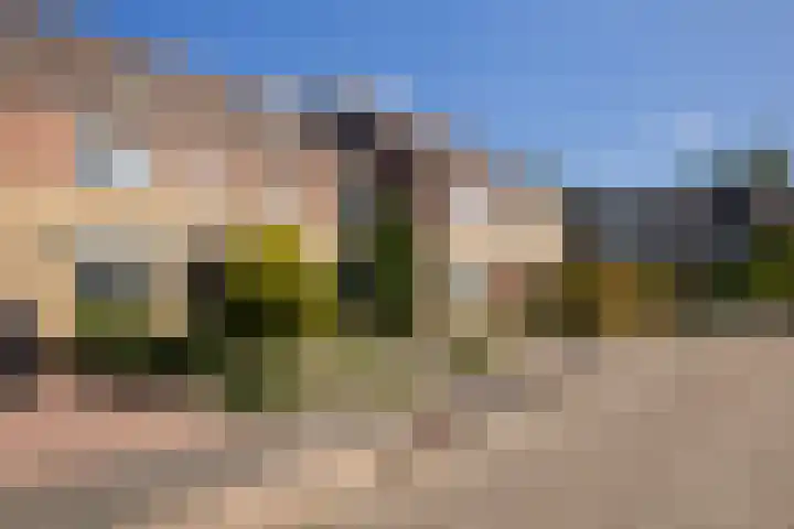 Weidedreef 29 Langbroek thumbnail 25