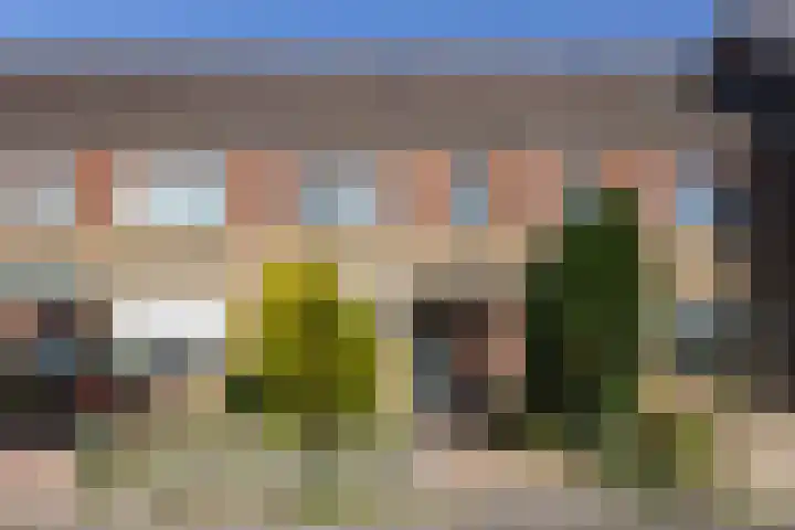 Weidedreef 29 Langbroek thumbnail 38