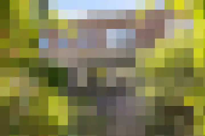 Weidedreef 29 Langbroek thumbnail 4