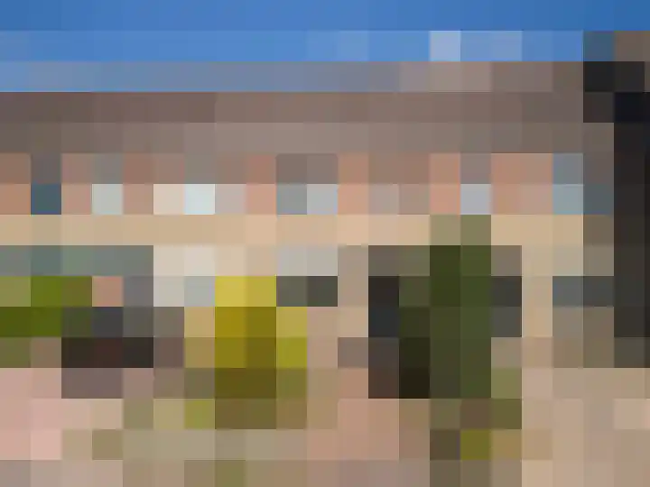 Weidedreef 29 Langbroek thumbnail 5