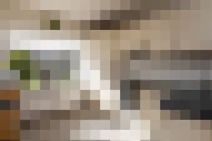 Weidedreef 29 Langbroek thumbnail 8