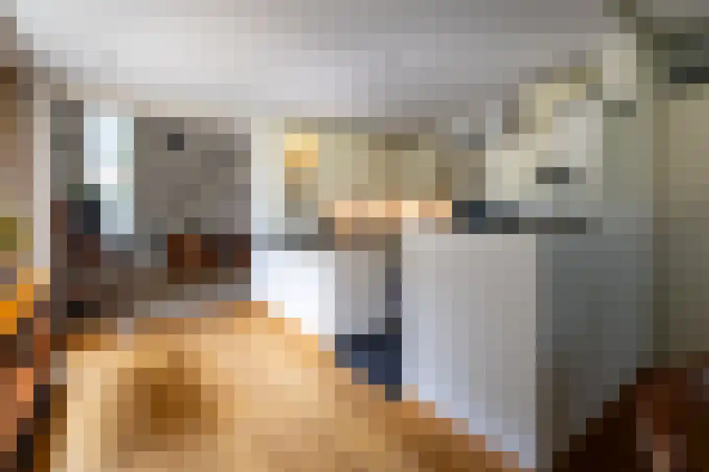 Weidedreef 3 Koudekerk aan den Rijn thumbnail 10