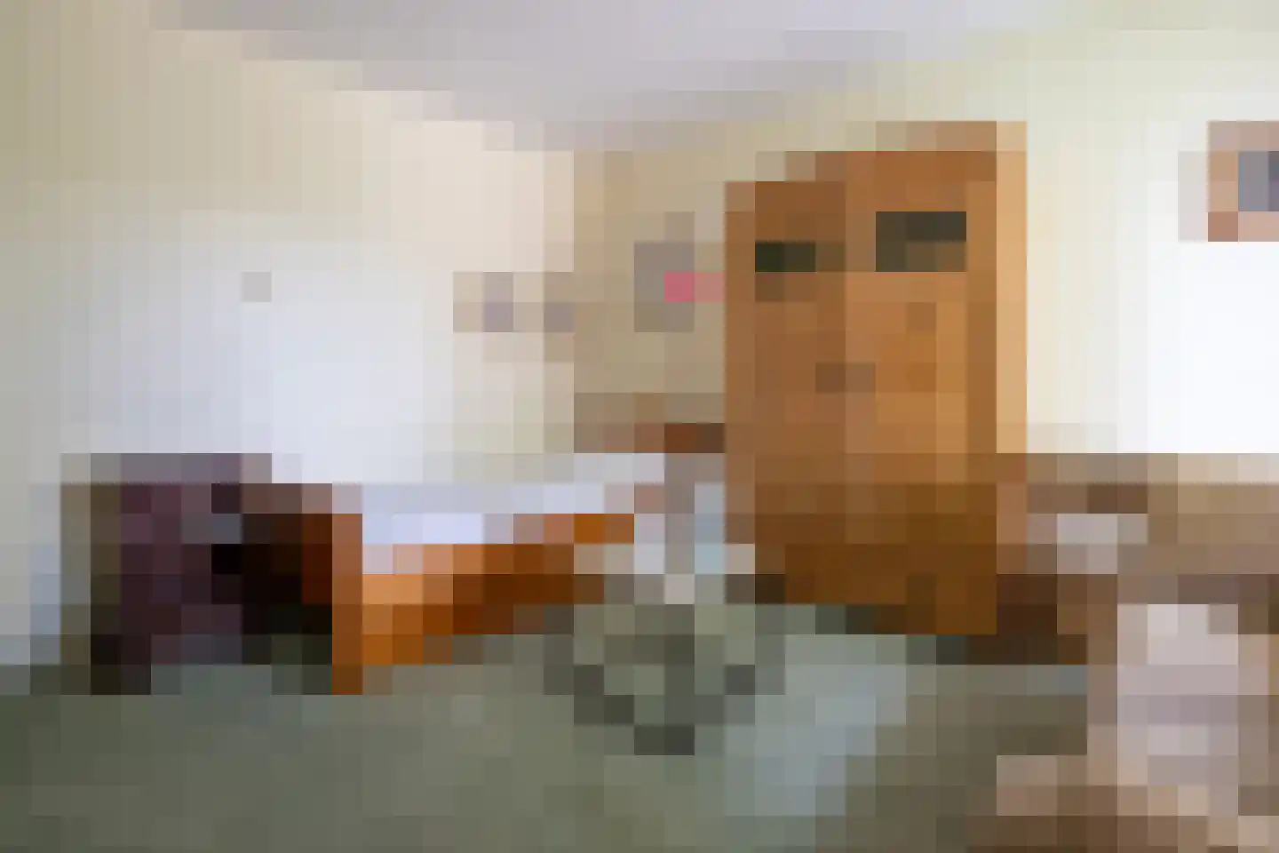 Weidedreef 3 Koudekerk aan den Rijn thumbnail 15