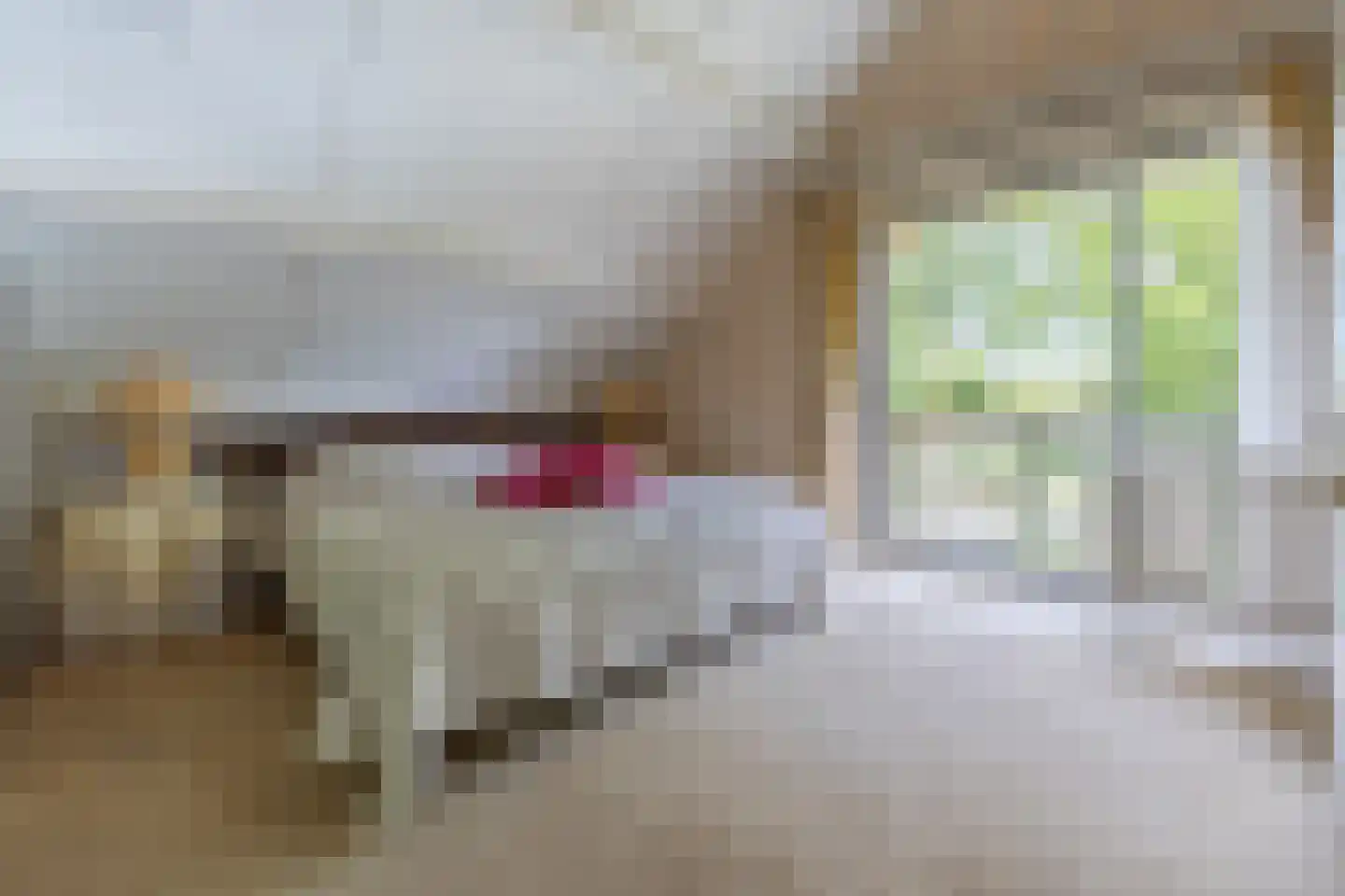 Weidedreef 3 Koudekerk aan den Rijn thumbnail 22