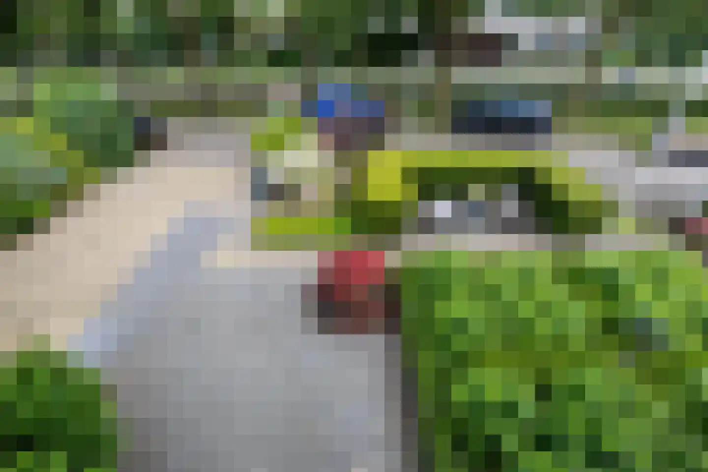 Weidedreef 3 Koudekerk aan den Rijn thumbnail 25