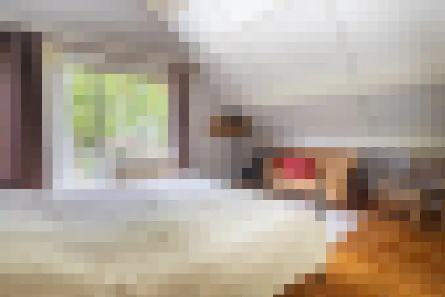 Weidedreef 3 Koudekerk aan den Rijn thumbnail 26