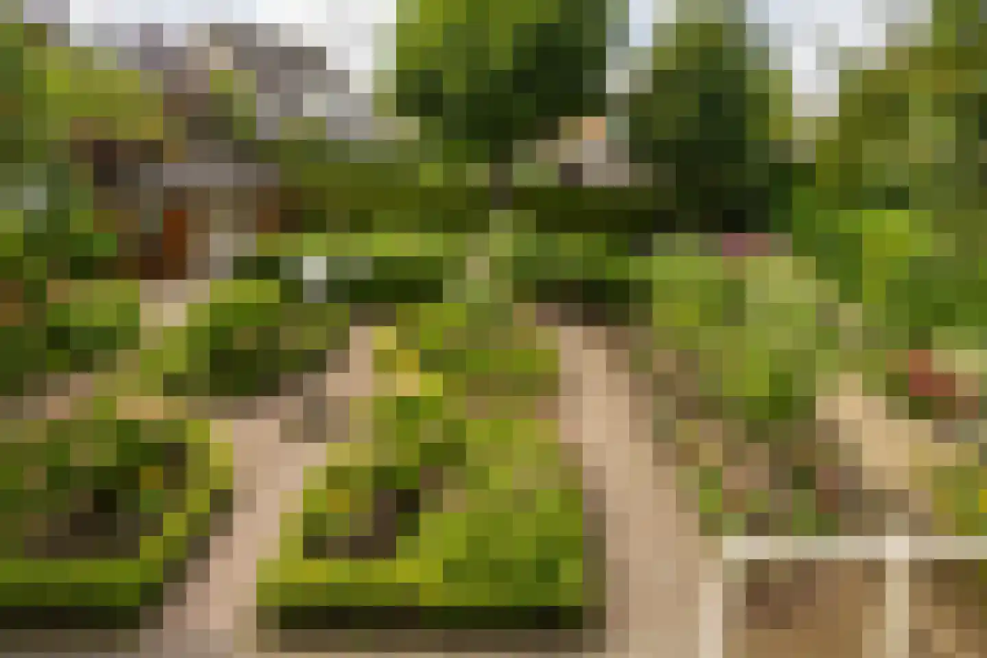 Weidedreef 3 Koudekerk aan den Rijn thumbnail 35