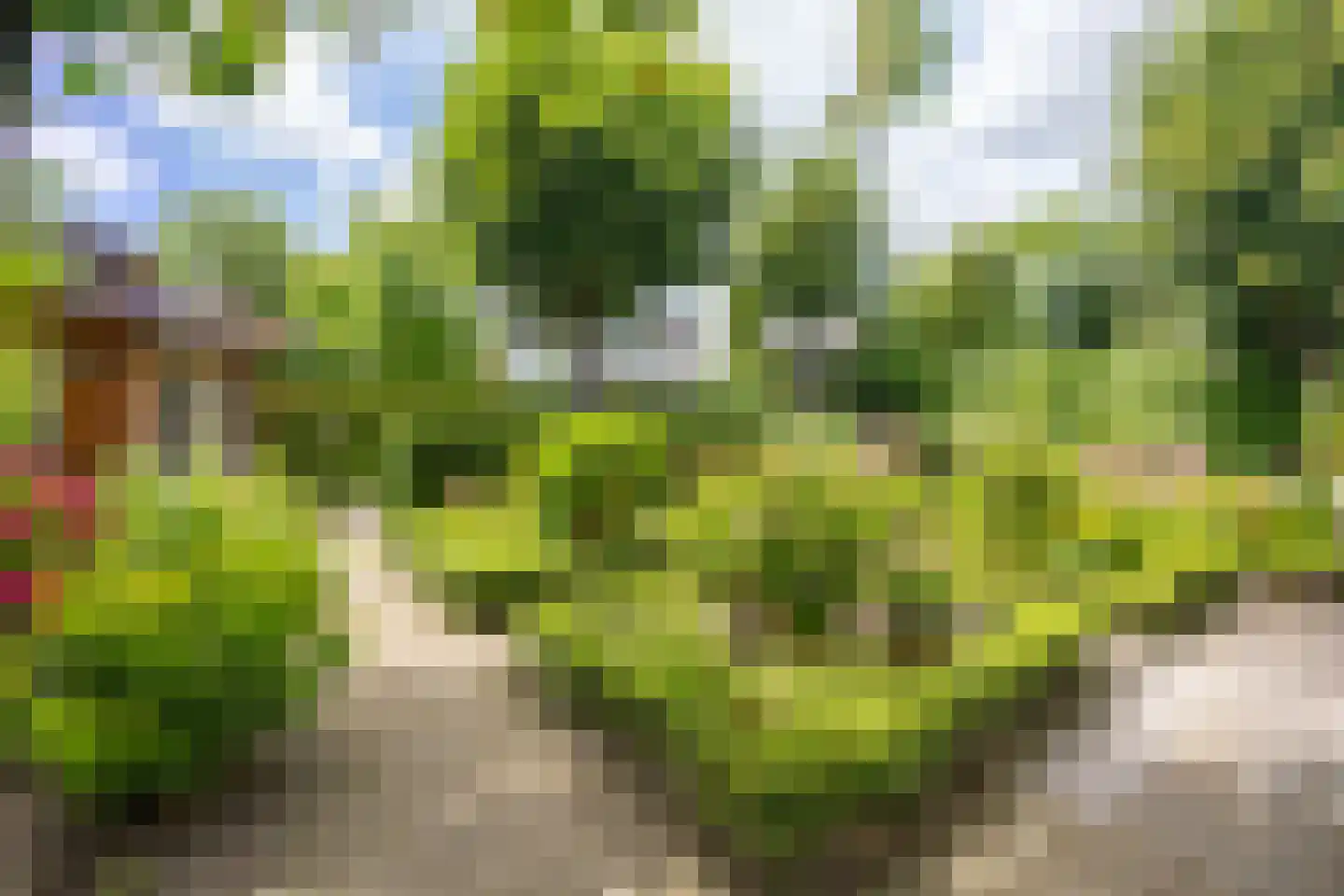 Weidedreef 3 Koudekerk aan den Rijn thumbnail 37