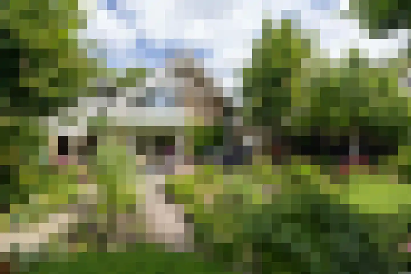 Weidedreef 3 Koudekerk aan den Rijn thumbnail 41