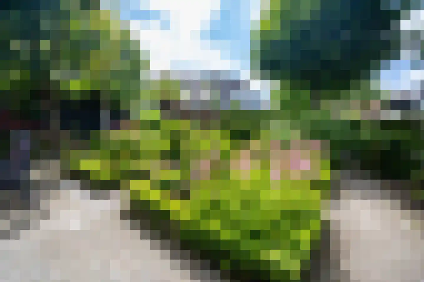 Weidedreef 3 Koudekerk aan den Rijn thumbnail 45