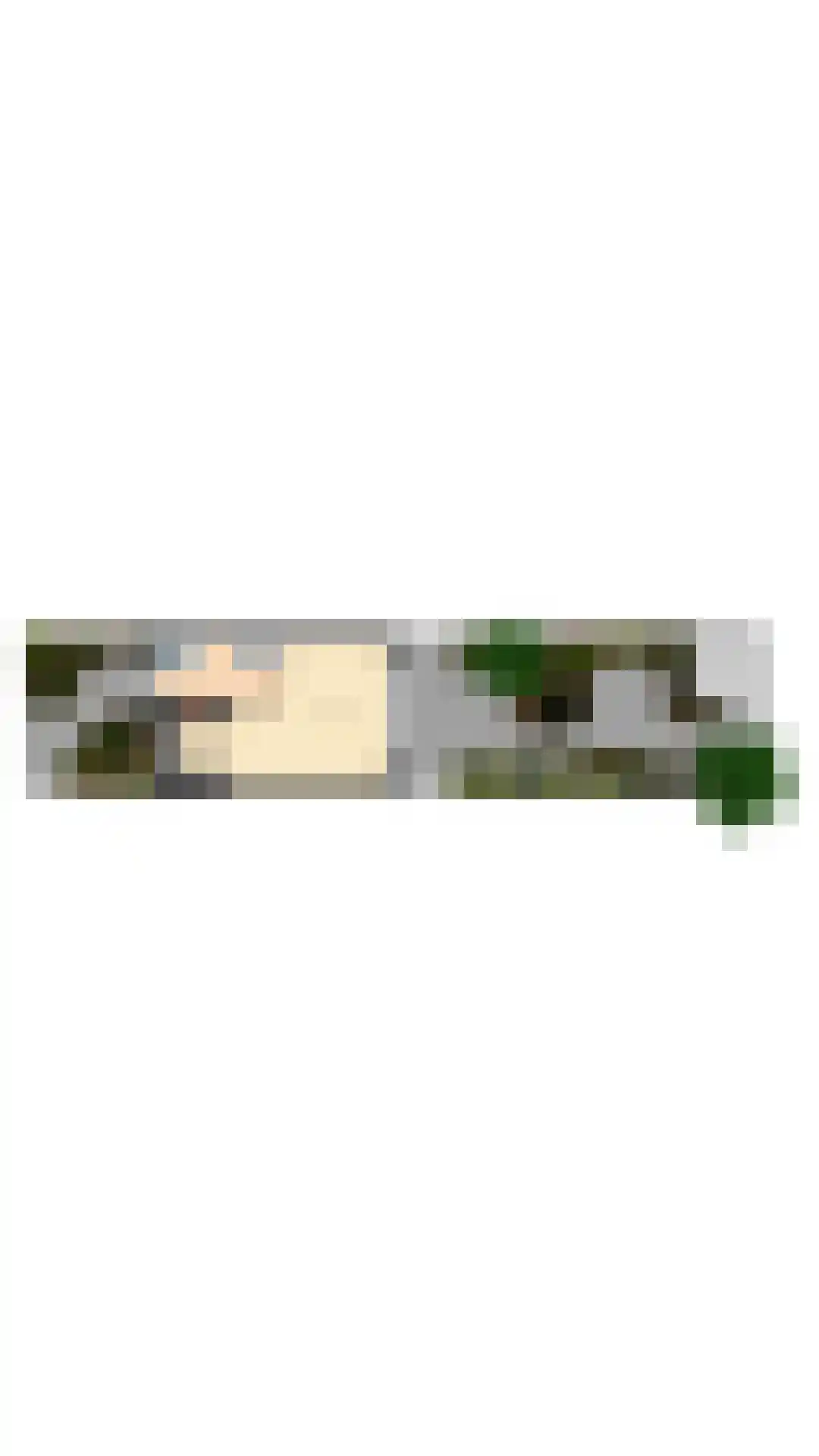 Weidedreef 73 Zoetermeer thumbnail 36