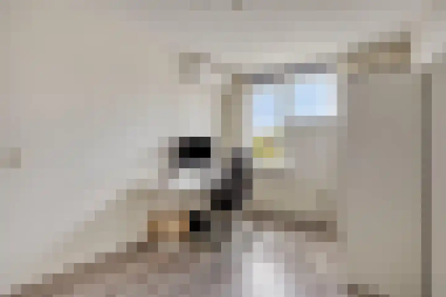 Weidedreef 93 Zoetermeer thumbnail 21