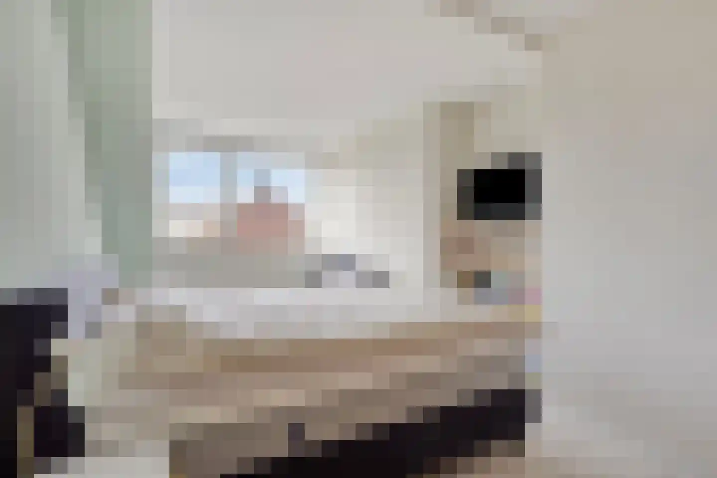Weidedreef 93 Zoetermeer thumbnail 28