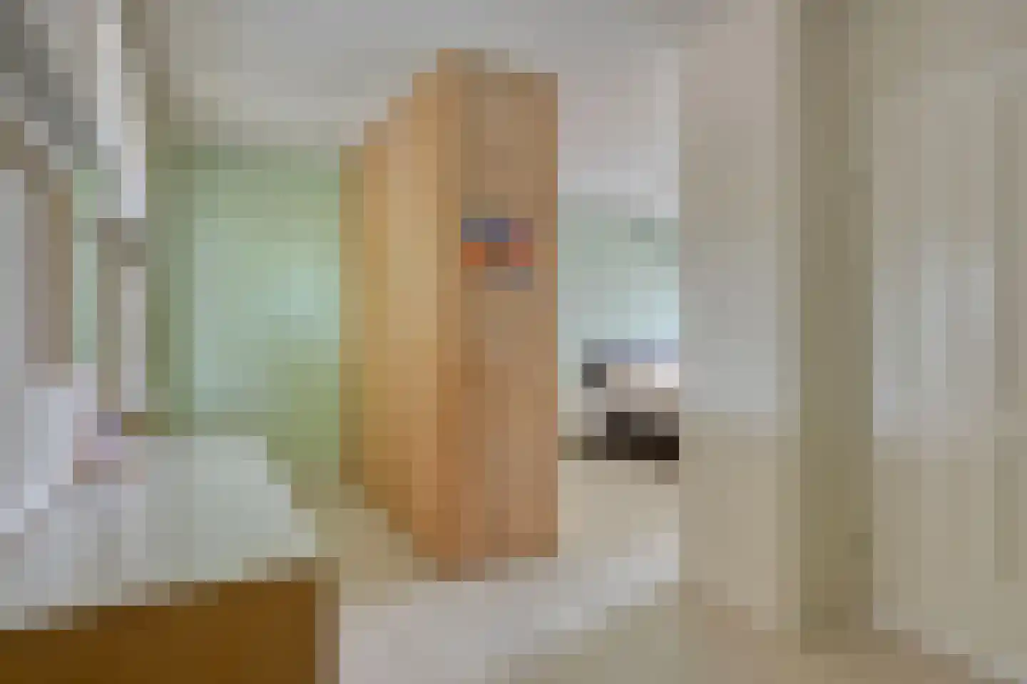 Weidedreef 93 Zoetermeer thumbnail 30