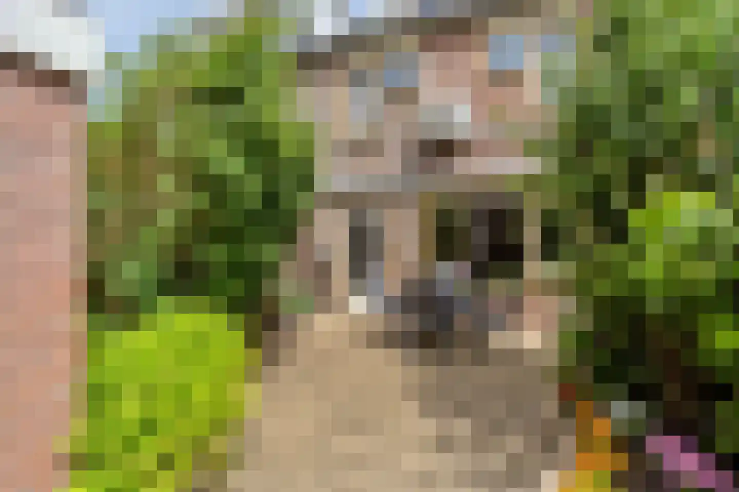 Weidedreef 93 Zoetermeer thumbnail 37