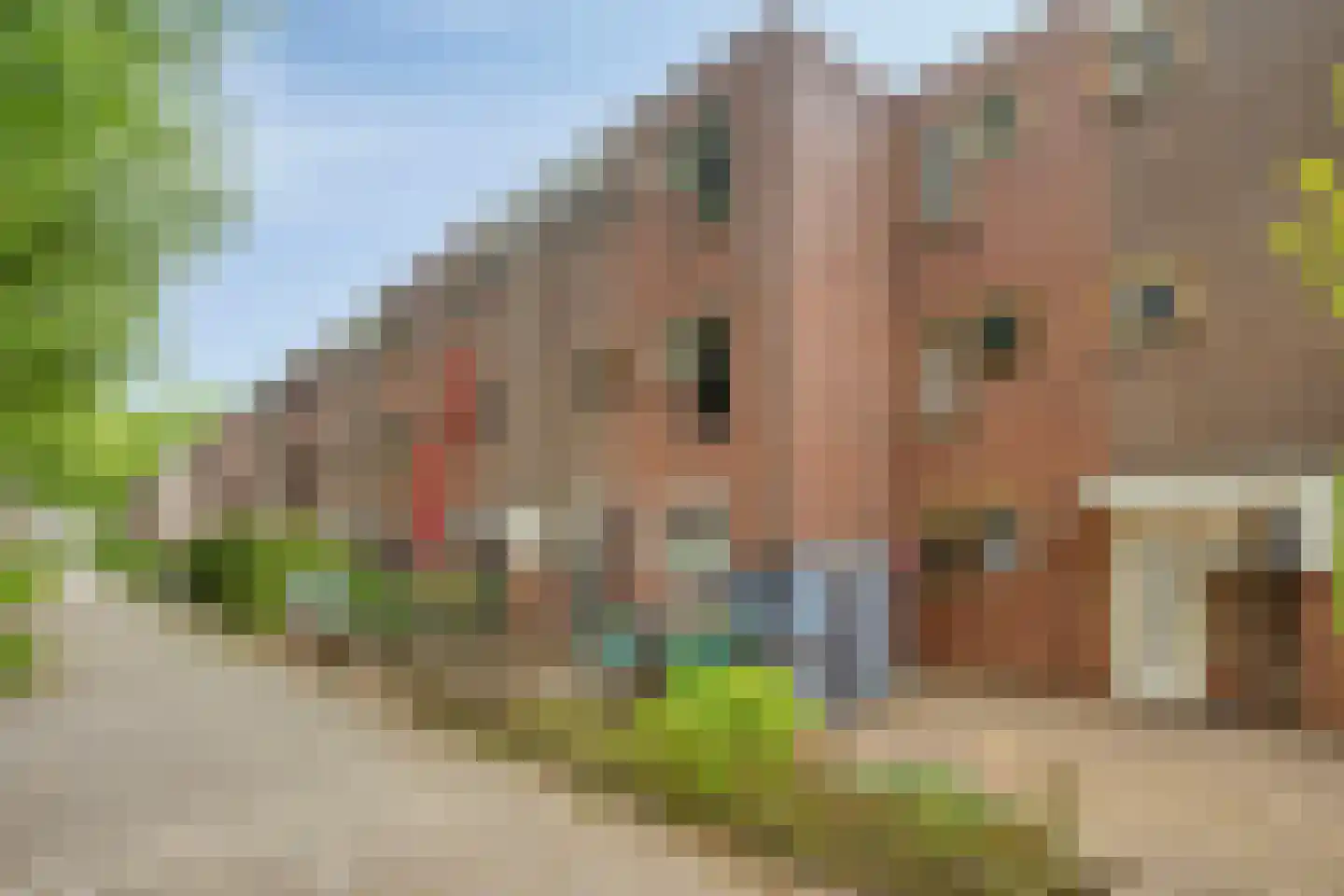 Weidedreef 93 Zoetermeer thumbnail 39