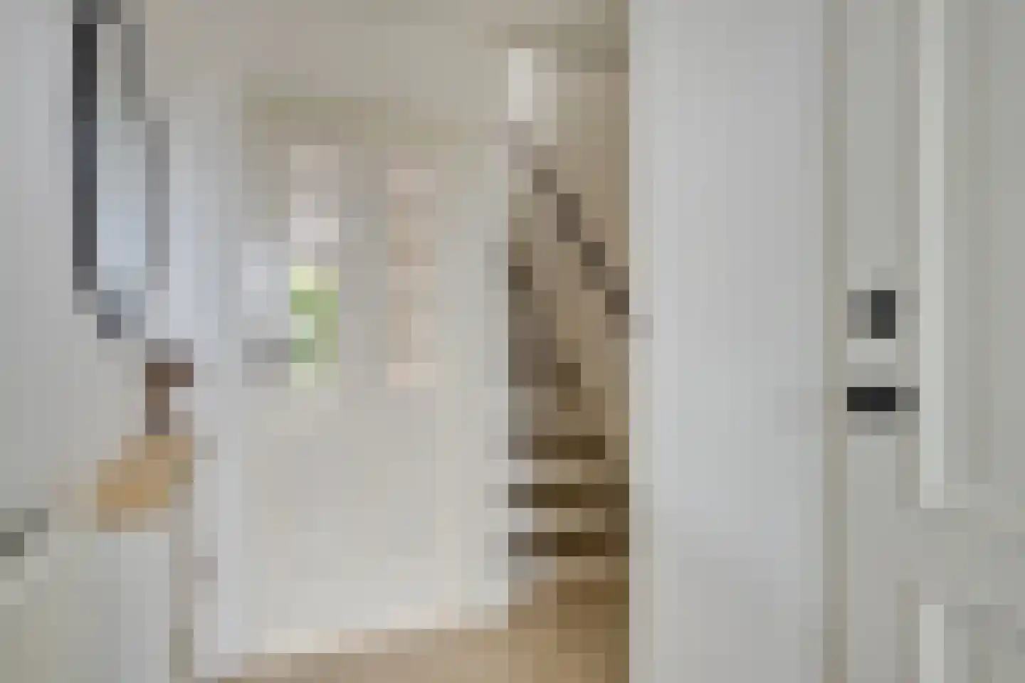Weidedreef 93 Zoetermeer thumbnail 5