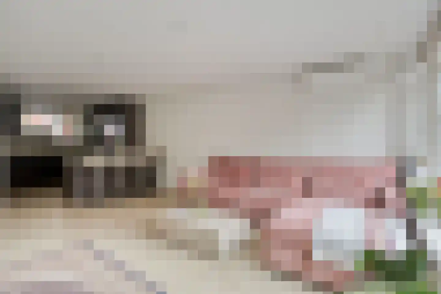 Weidedreef 93 Zoetermeer thumbnail 7